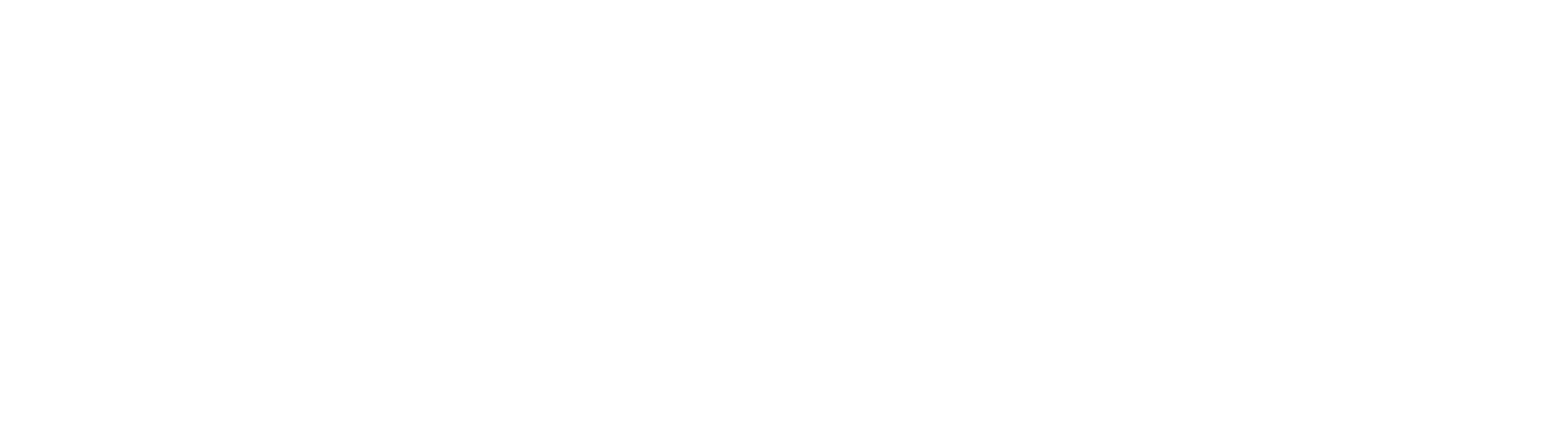 Logo SSP Capital